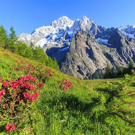 Flat With Garden In - Happy Courmayeur