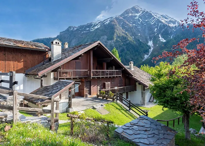 Charming With Garden In - Happy Apartment *